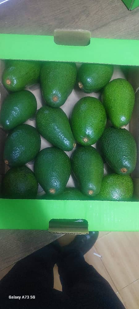 Avocados in a Prime Products branded box