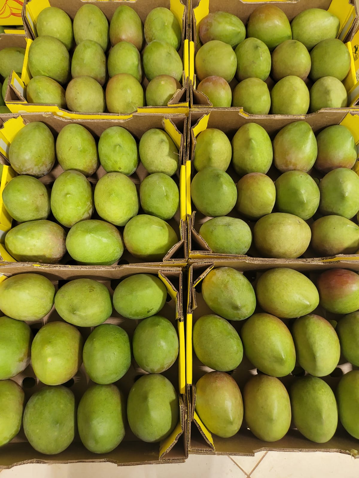 Kenyan Mangoes