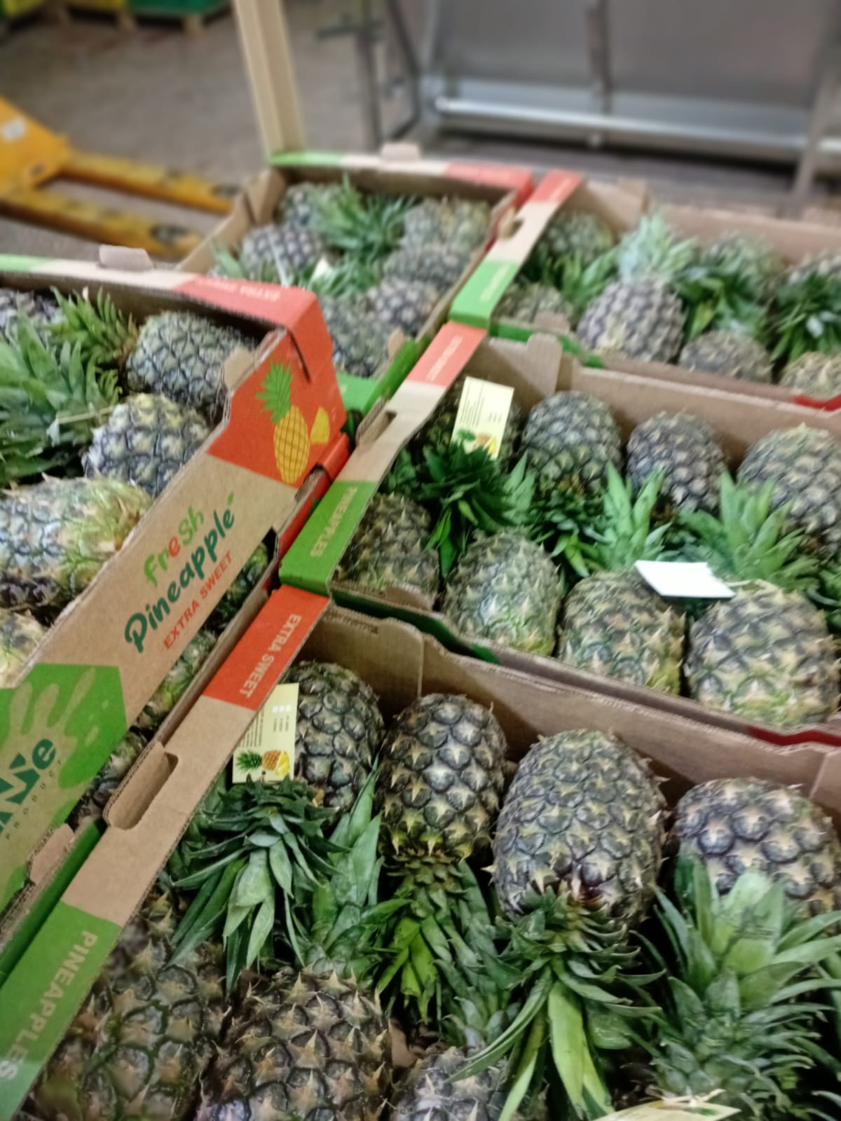 Mangoes in export boxes