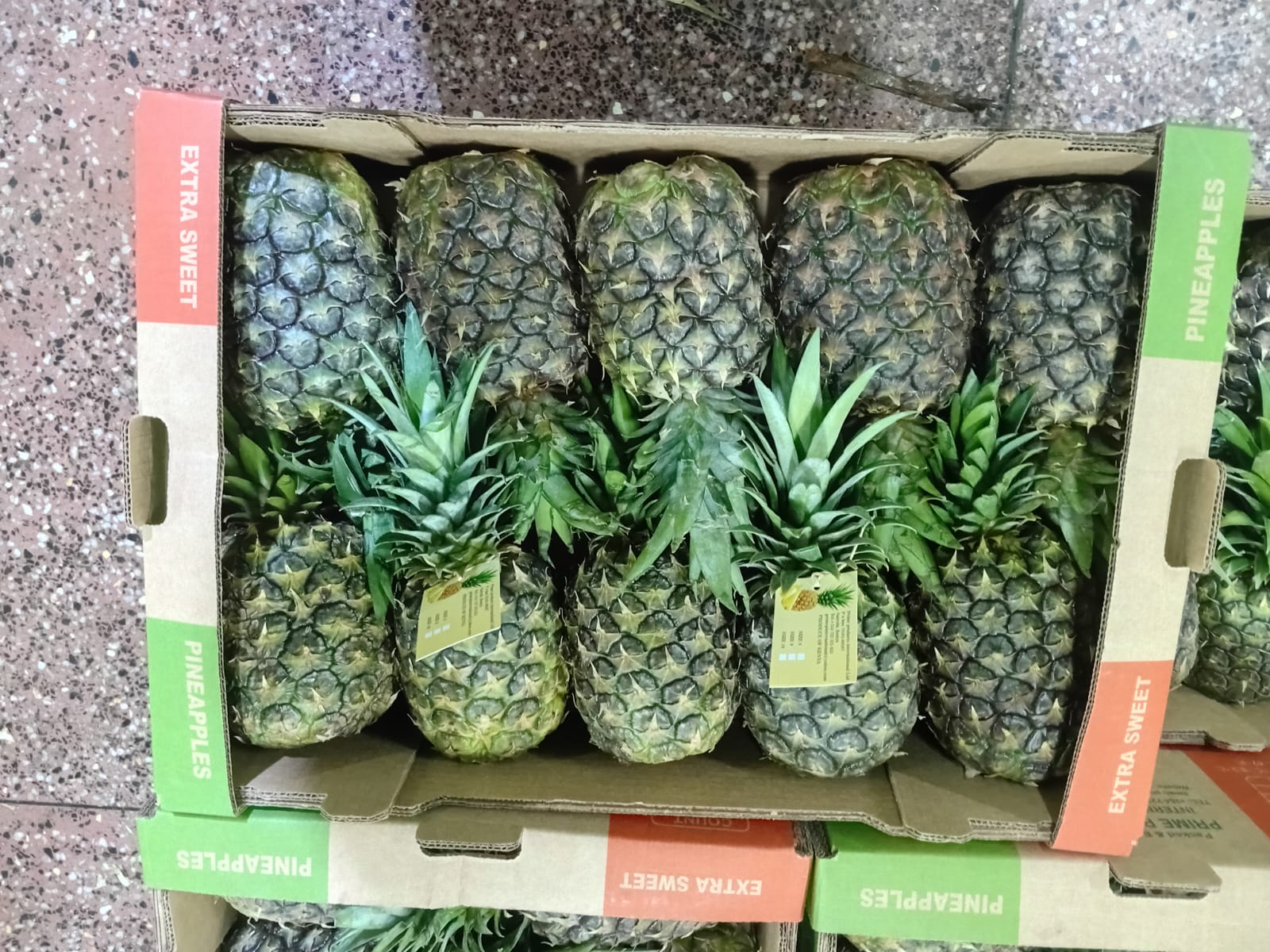 Mangoes in export boxes