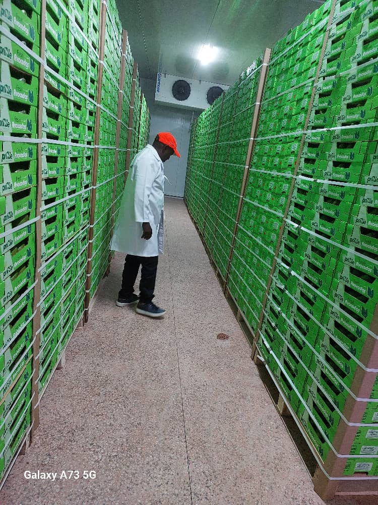 Staff inspecting produce in the cold storage facility