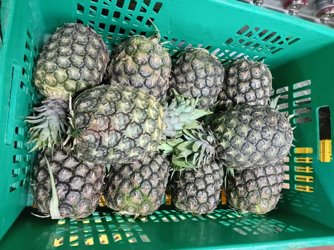 Sweet Pineapples